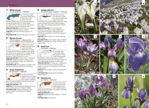 Alpine Flowers, the Complete Field Guide - Norbert Griel -2025